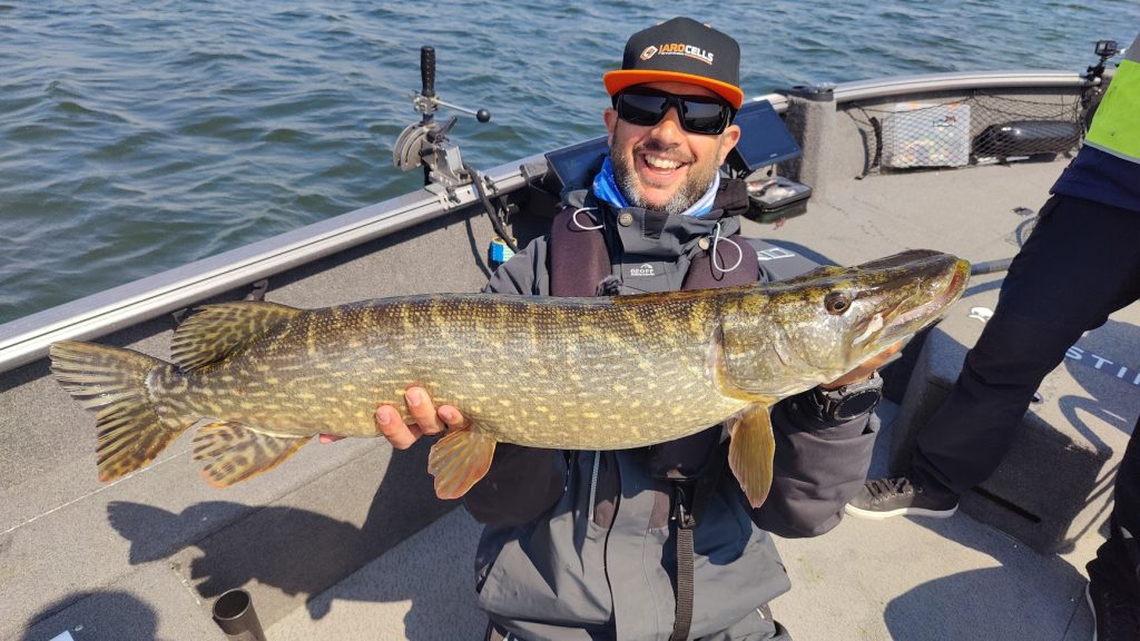 predatortour livescope pelagisch vissen snoekbaars