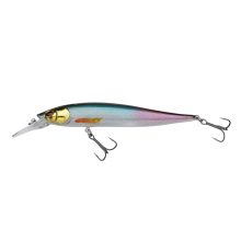 Berkley DEX Stunna 100 Plus1 Wagasaki